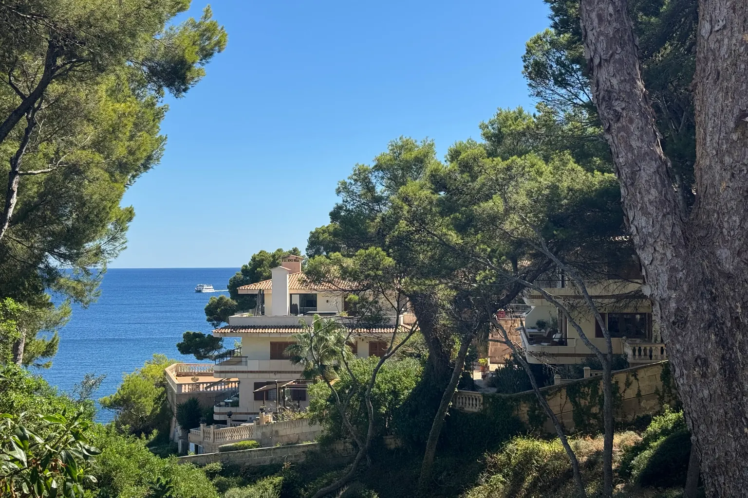 Villen zwischen Pinien an der Küste von Calvià mit Blick auf das Mittelmeer