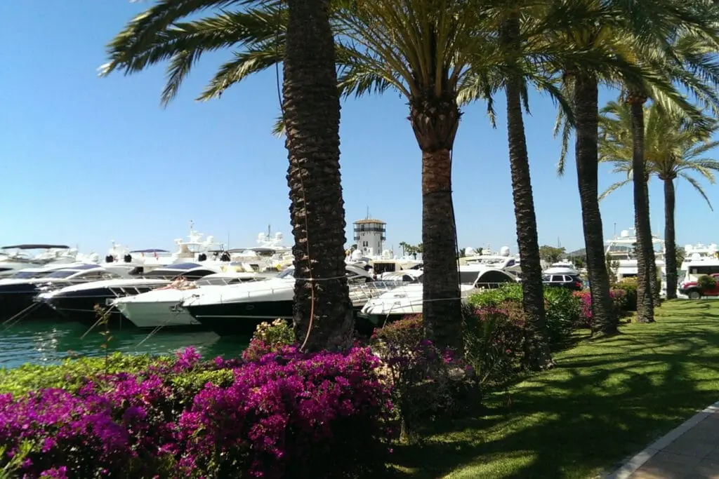 Luxury yachts in the marina of Puerto Portals